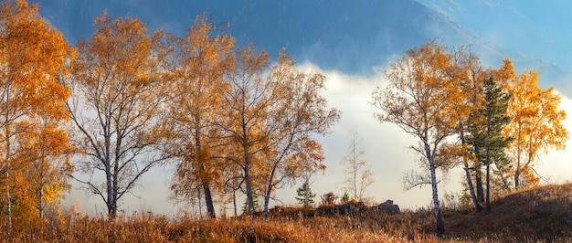 Autumn panoramic view indian summer Yellow trees and fog over the valley