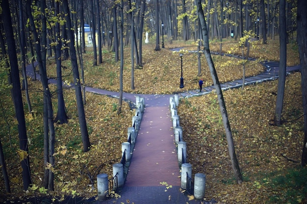 autumn park in city background landscape, abstract autumn view