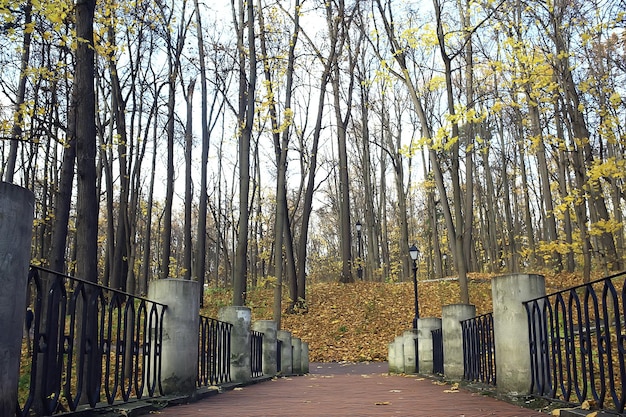 autumn park in city background landscape, abstract autumn view