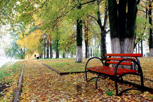 autumn park in city background landscape, abstract autumn view