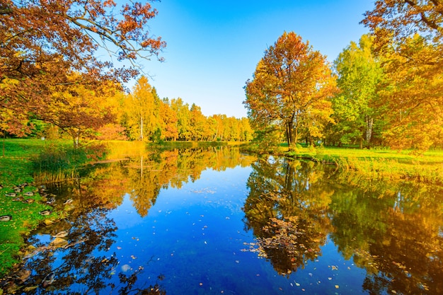 Autumn park landscape with a lake. Autumn. A new season. Beautiful landscape. Yellow trees. Photos for printed products . An article about autumn . Park