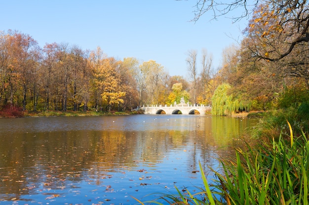 Autumn park with trees over blue lake waters, Lazienki, Warsaw, Poland