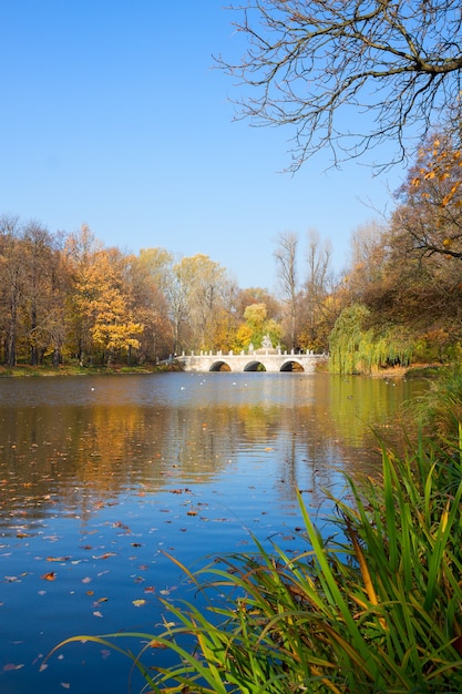 Autumn park with trees over blue pond waters, Lazienki, Warsaw, Poland