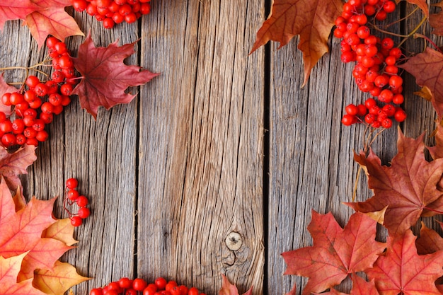 Autumn pattern golden maple leaves on wooden background