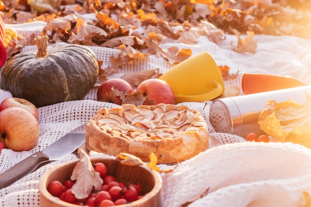 Autumn picnic in nature Plaid with apple pie cups of red and yellow color thermos hawthorn berries pumpkin apples