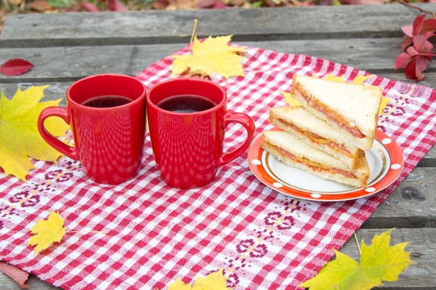 Autumn picnic in nature, two red cups and sandwich