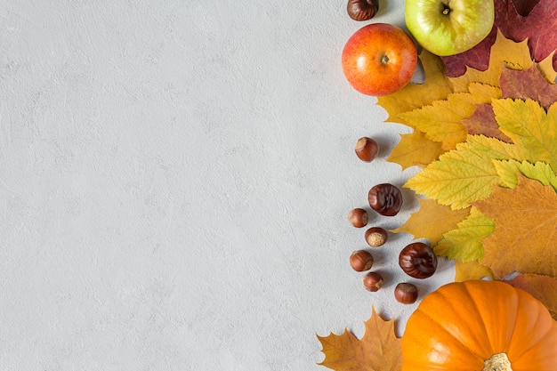 autumn picture with fall harvest pumpkin apple on concrete gray background flat lay with copy space