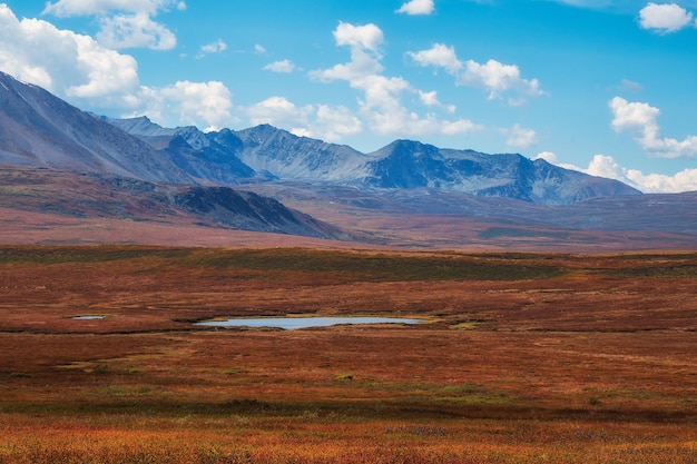 Autumn plateau Dramatic golden light and shadow on the rock in autumn steppe Highaltitude plateau