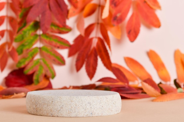 Autumn podium made of natural stone and autumn foliage