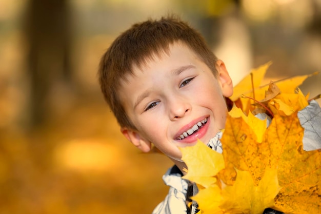 Autumn portrait of a child in autumn yellow leaves