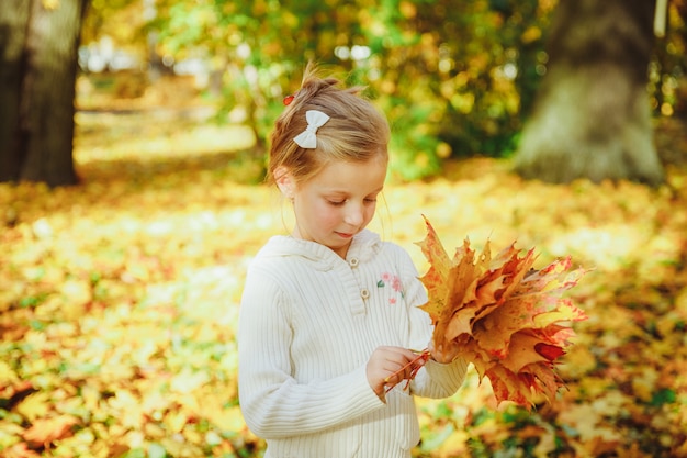 Autumn portrait of cute curly girl. Little funny girl playing with yellow leaves in the forest. Golden autumn. toddler girl, portrait with bouquet of autumn leaves