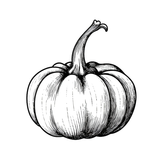 Autumn pumpkin ai generated