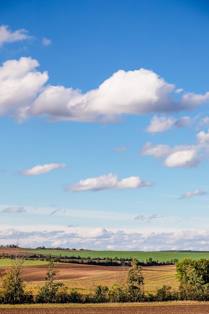 Autumn pumpkin field and beautiful sky with white clouds. Austria.