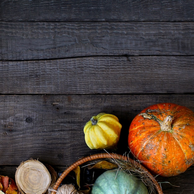 Autumn pumpkin rustic wood background