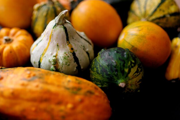 Autumn Pumpkin Thanksgiving Background - orange pumpkins over black table