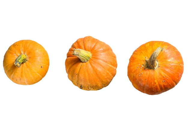 Autumn Pumpkin Thanksgiving Background orange pumpkins on a wooden table Isolated on white background