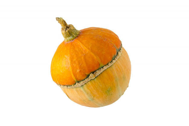 Autumn pumpkin