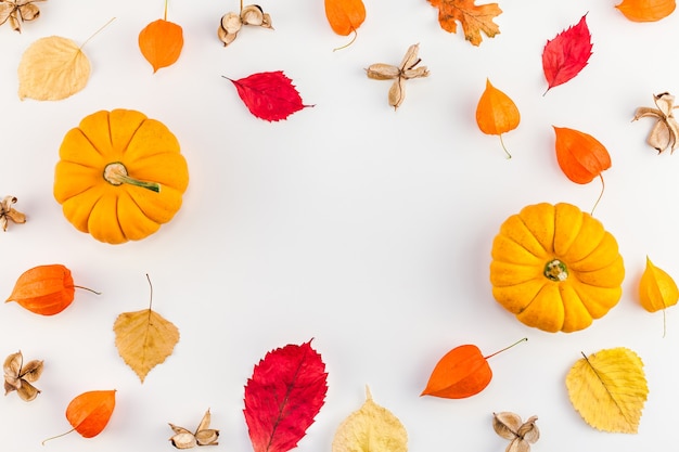 Autumn Pumpkins, dried orange flowers and leaves