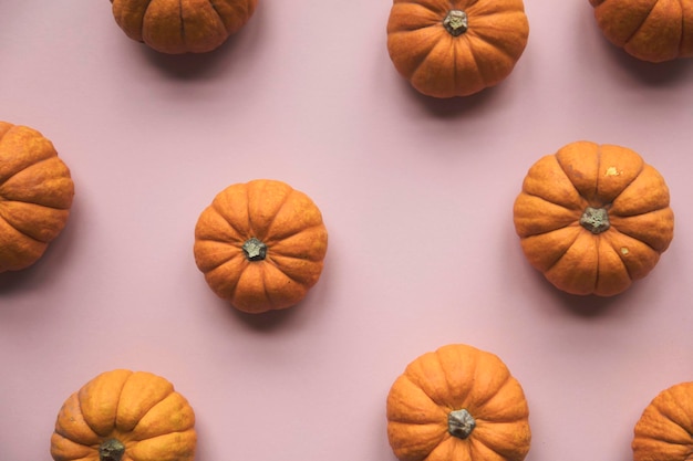 Autumn pumpkins on a pastel pink background