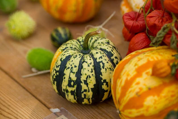 Autumn pumpkins on the table