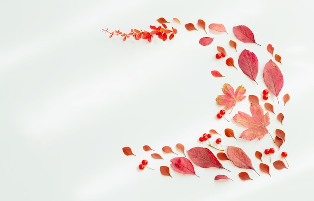 Autumn red leaves on white background