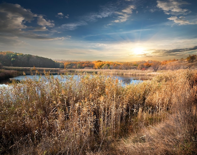 Autumn river and reeds and cloudy sky