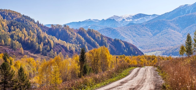 Autumn road scenic view