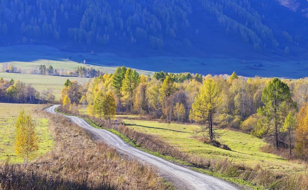 Autumn road yellow trees on a background of mountainside