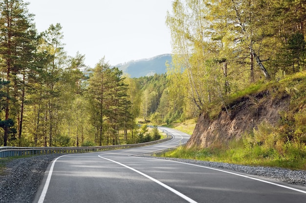 Autumn road