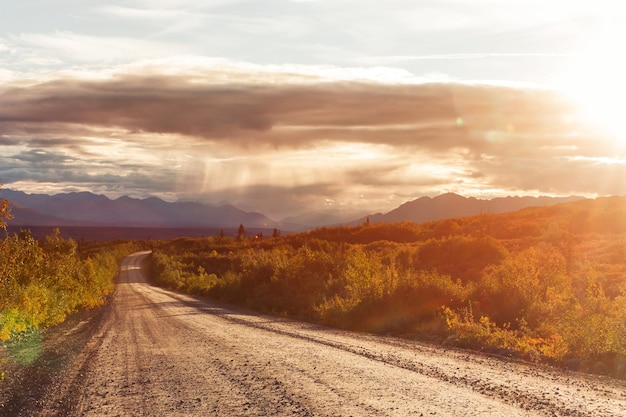 Autumn road