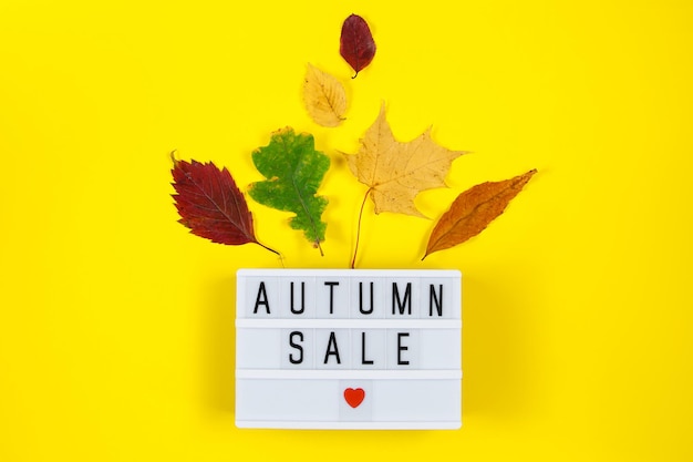 Autumn sale concept Promotional discount banner on background of yellow fallen leaves