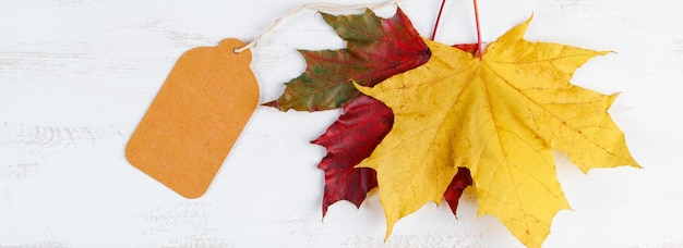 Autumn sale and discount concept Blank label and fallen leaves on white wooden background Thanksgiving and harvest