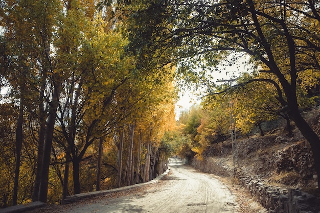 Autumn scene in Gilgit Baltistan, Pakistan.