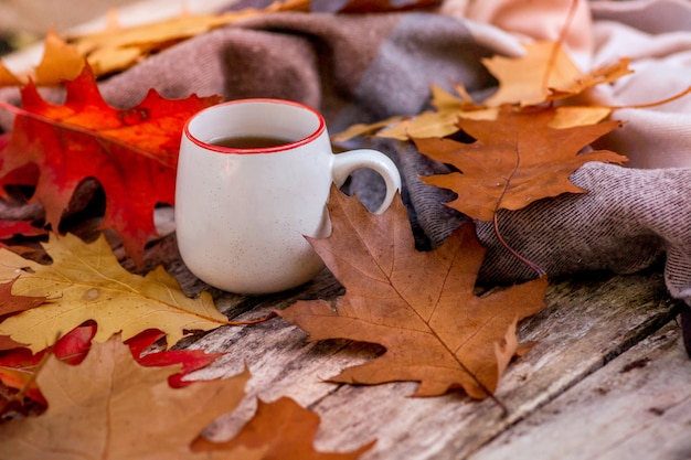 Autumn scene with tea cup, colorful leaves. Thanksgiving rustic table with bright autumn leaves