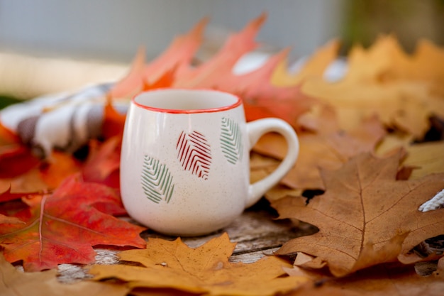 Autumn scene with tea cup, colorful leaves. Thanksgiving rustic table with bright autumn leaves