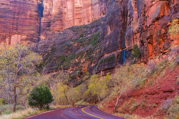 Photo autumn scene in zion