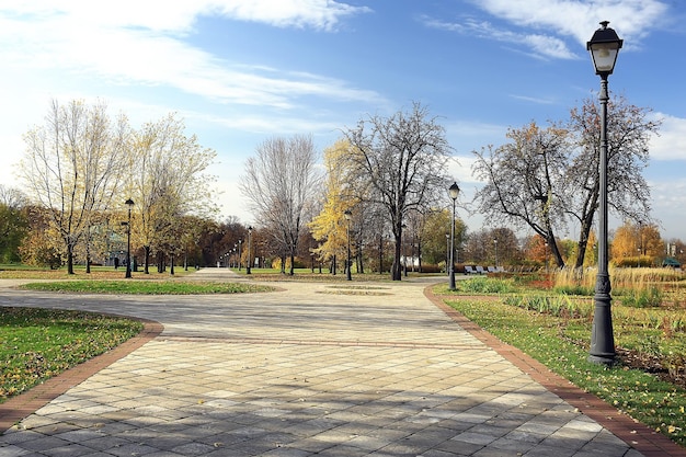 autumn season landscape in park, view of yellow trees alley background