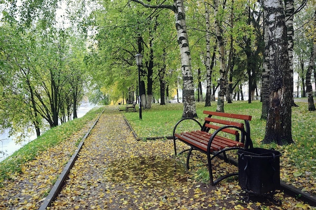 autumn season landscape in park, view of yellow trees alley background