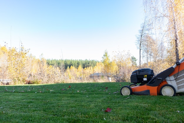 Autumn season lawn mowing in the garden