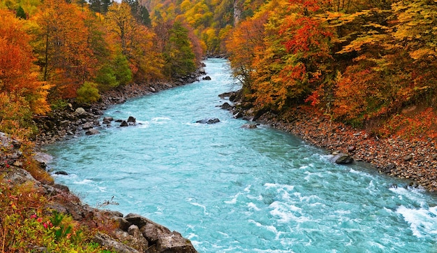 Autumn season with colorful leaves of the trees along the river