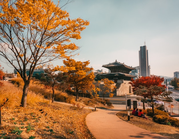 Autumn in Seoul. Park with national building