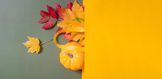 Autumn shopping and sales concept Banner with pumpkin and autumn fallen leaves in a shopping bag on a green background