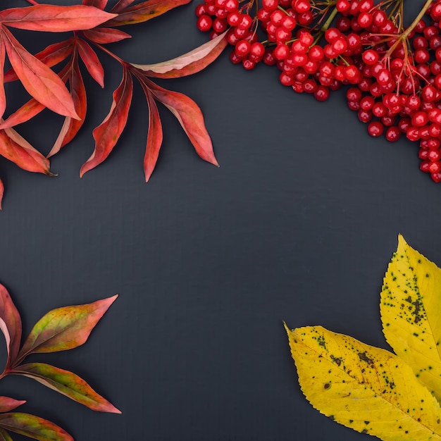 Autumn square frame beautiful template october still life flat design copy space for text Mockup top view Festive black background with fall leaves harvest concept Holiday pattern