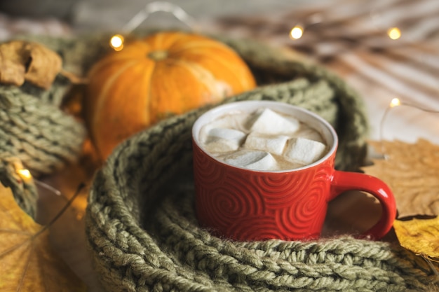 Autumn still life from pumpkin, leaves, scarf, red mug of cocoa with marshmallow