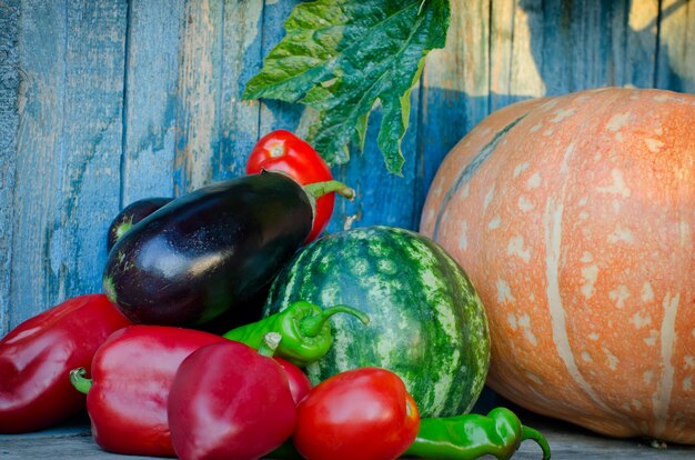 Autumn still life of vegetables. Eggplant, squash, peppers, watermelon