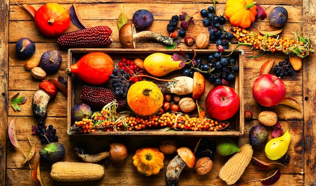 Autumn still life with autumn harvest