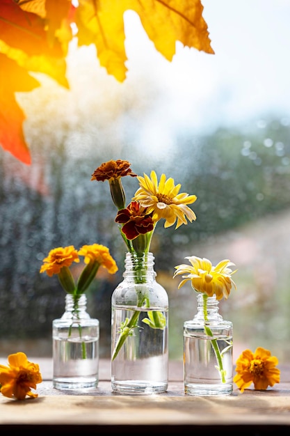 Autumn still life with flowers and orange leaves Orange flwoers in glass vases Abstract Autumn scene concept