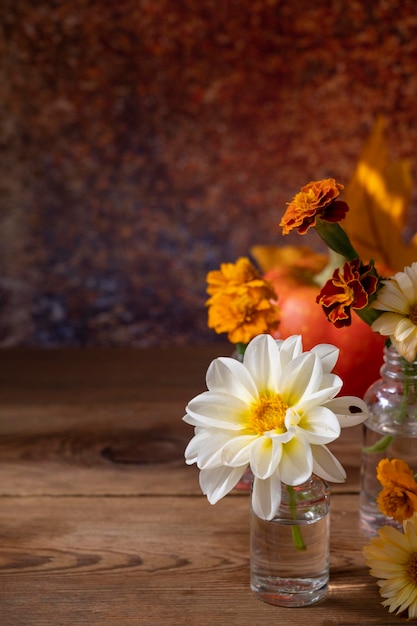 Autumn still life with flowers pumpkins and orange leaves Fresh garden flowers in glass vases Abstract Autumn scene concept