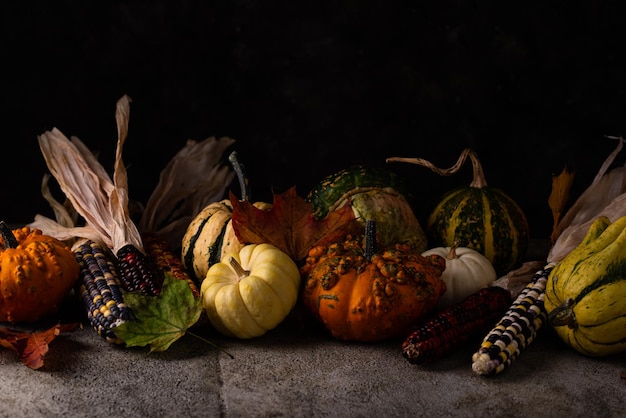 Autumn still life with pumpkin