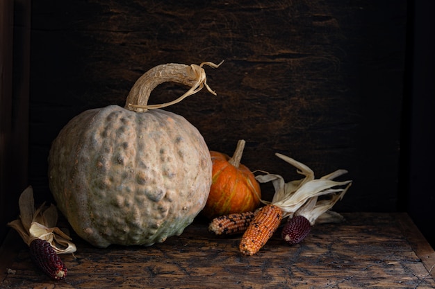 Autumn still life with pumpkins and corn on old wooden table.